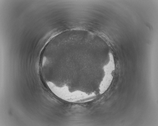 X0000114080290200911161022