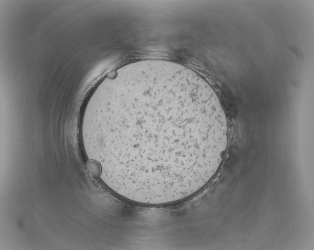 X0000114080293200911161022