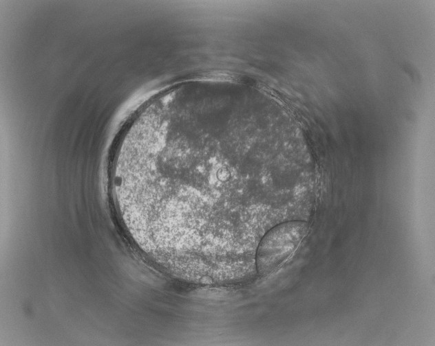 X0000114080294200911161022