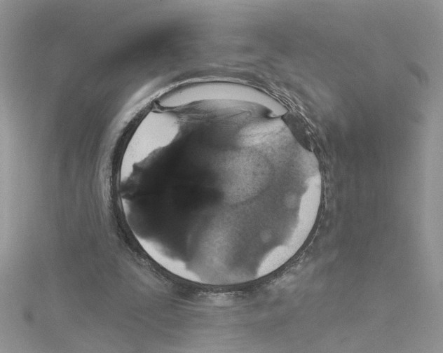 X0000114080295200911161022