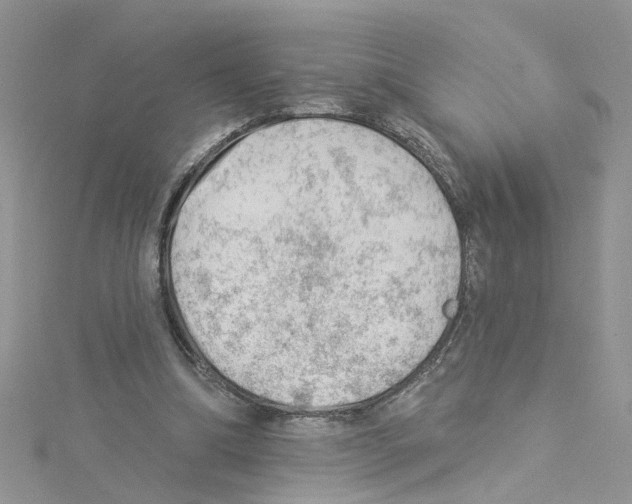 X0000114080298200911161022