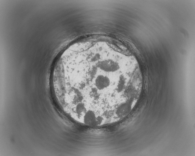 X0000114080299200911161022