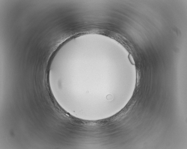 X0000114080301200911161022