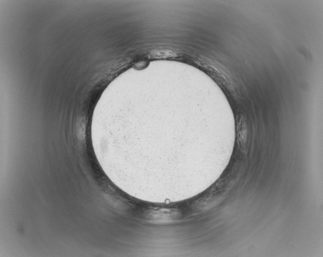 X0000114080315200911161021