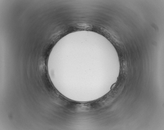 X0000114080320200911161021