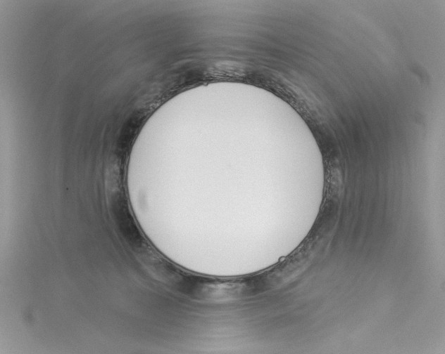 X0000114080323200911161021