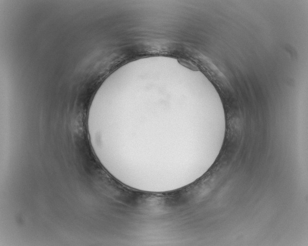 X0000114080325200911161021