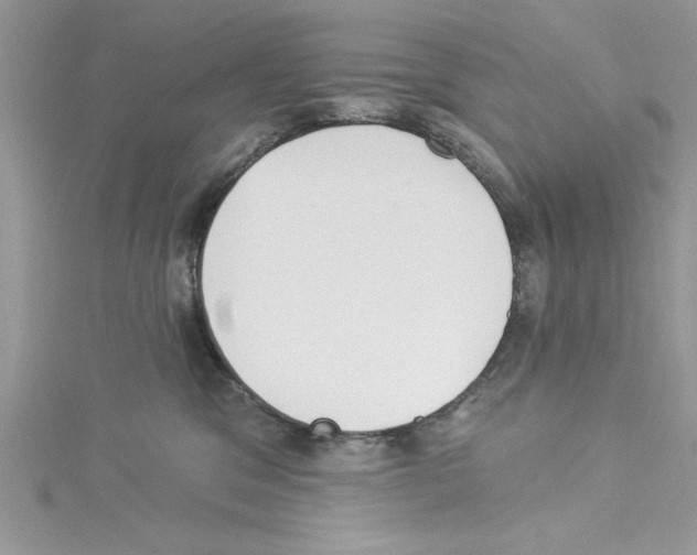 X0000114080329200911161021