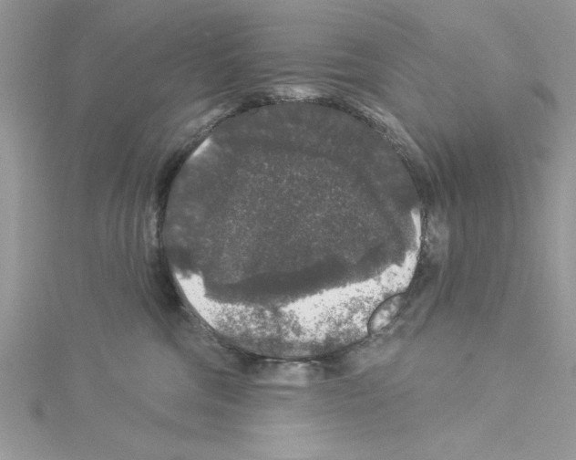 X0000114080330200911161021