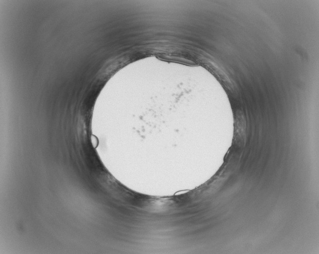 X0000114080333200911161021