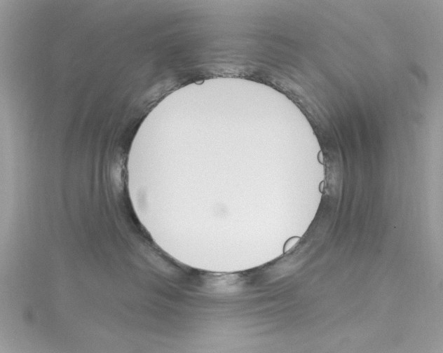 X0000114080334200911161021