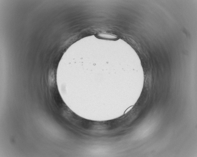 X0000114080335200911161021