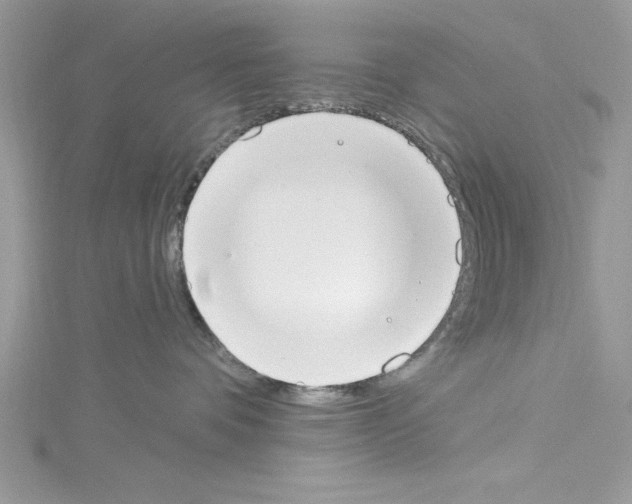 X0000114080336200911161021