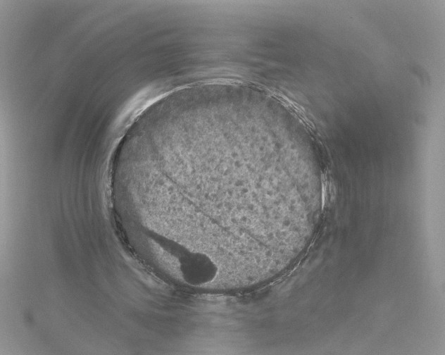 X0000114080339200911161020