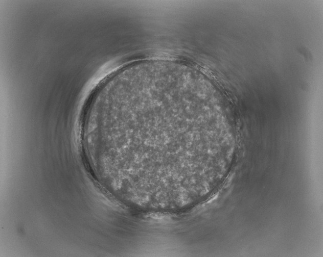 X0000114080343200911161020