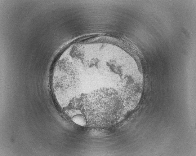 X0000114080346200911161021