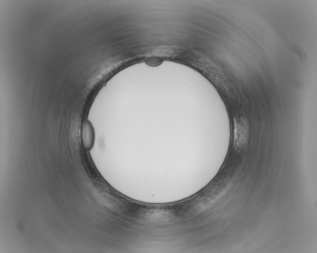 X0000114080348200911161021