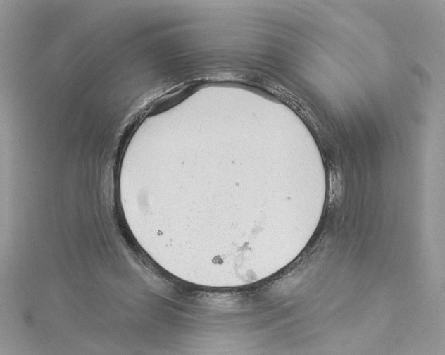 X0000114080349200911161021