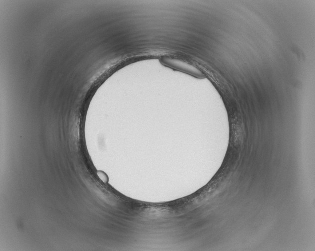 X0000114080350200911161021