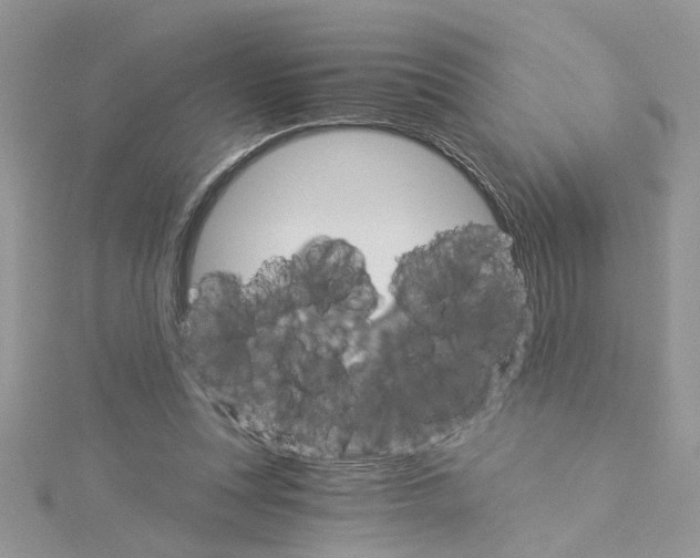 X0000114080351200911161021