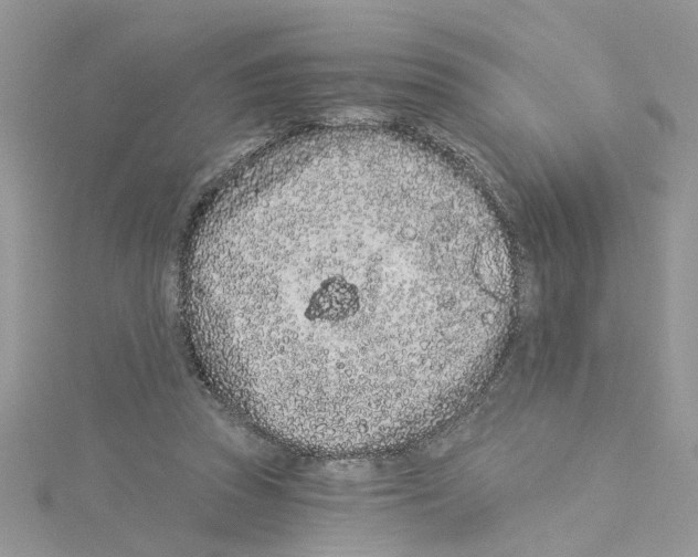 X0000114080353200911161021