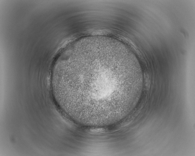 X0000114080357200911161021