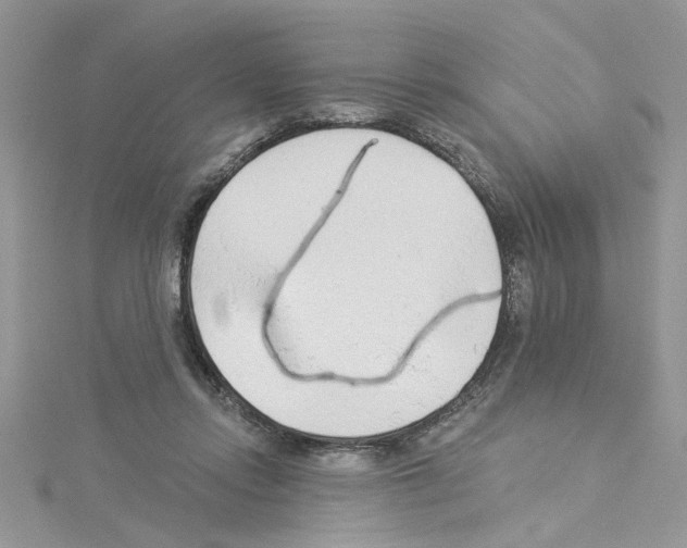 X0000114080358200911161021