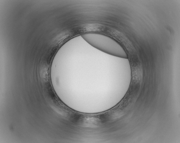 X0000114080360200911161021