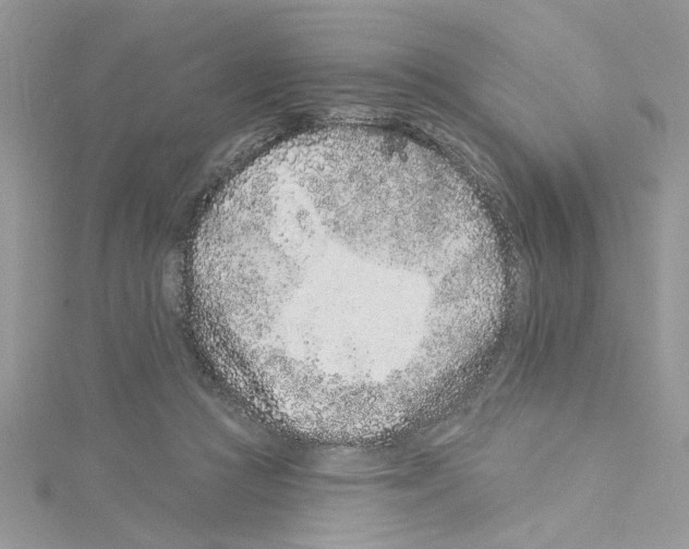 X0000114080361200911161021