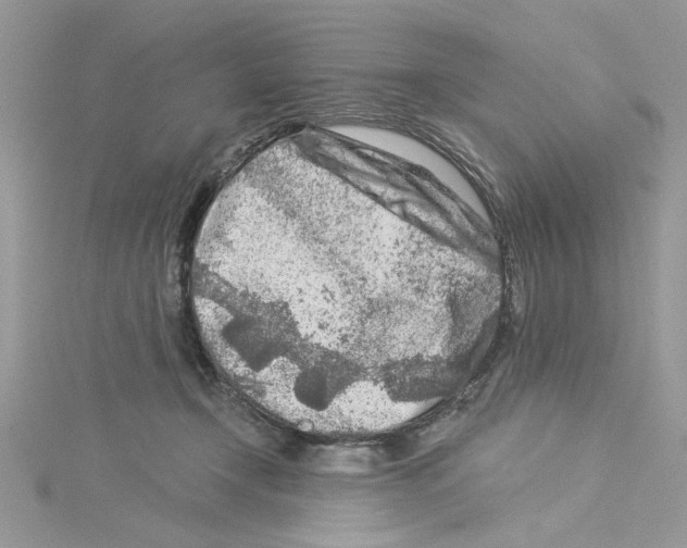 X0000114080366200911161021