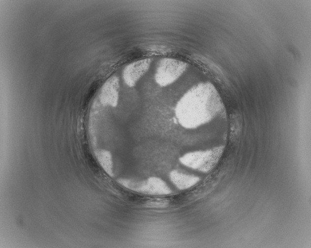 X0000114080369200911161021