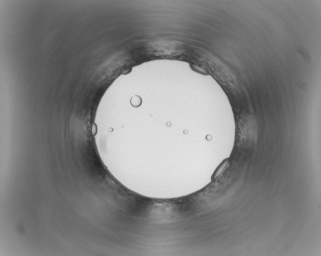 X0000114080376200911161021