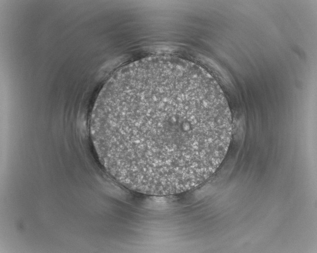 X0000114080381200911161021