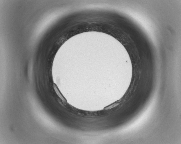 X0000114080382200911161021