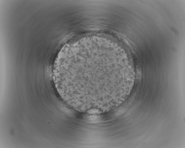 X0000114080383200911161021