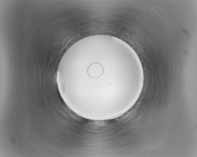 X0000114080384200911161021