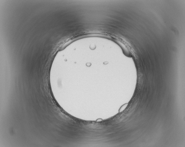 X0000114080385200911161020