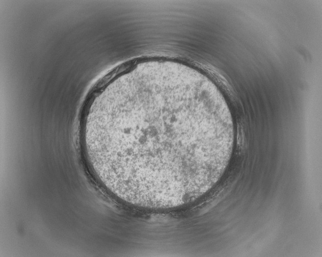 X0000114080388200911161020