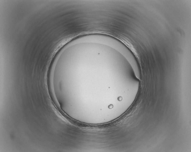 X0000114080389200911161020