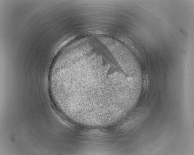 X0000114080390200911161020