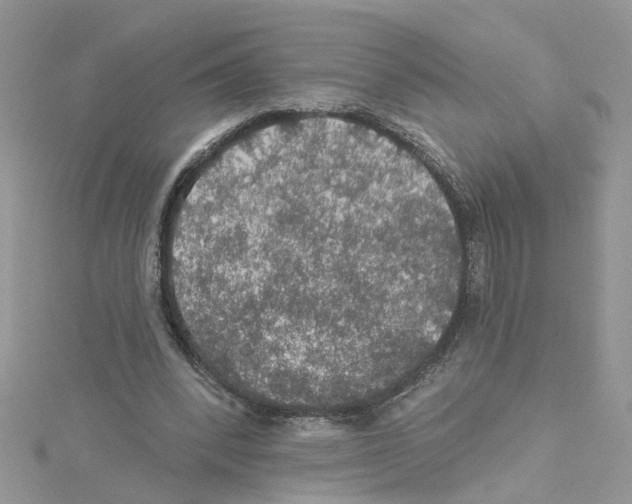 X0000114080392200911161020