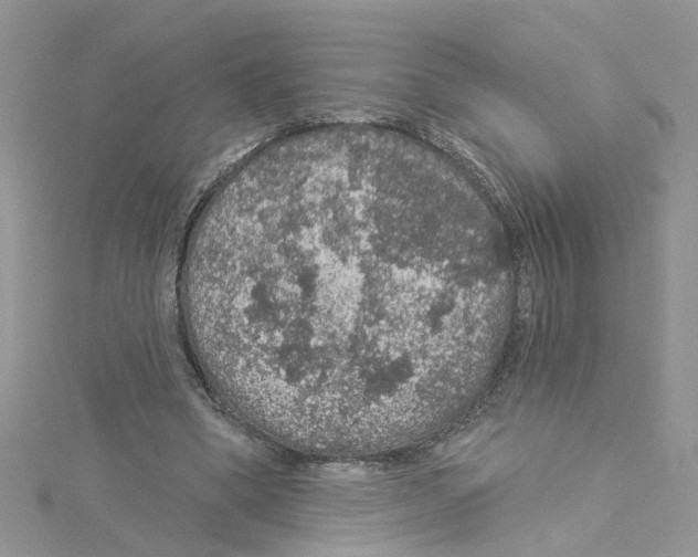 X0000114080394200911161020