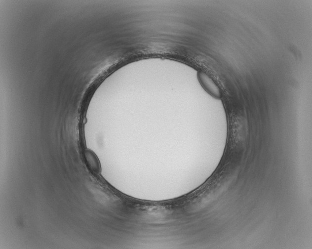 X0000114080395200911161020