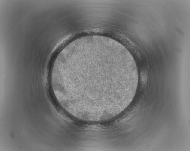 X0000114080396200911161020