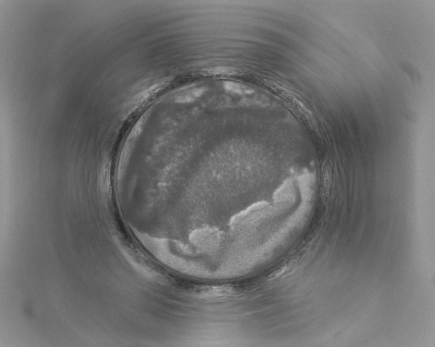 X0000114080398200911161020