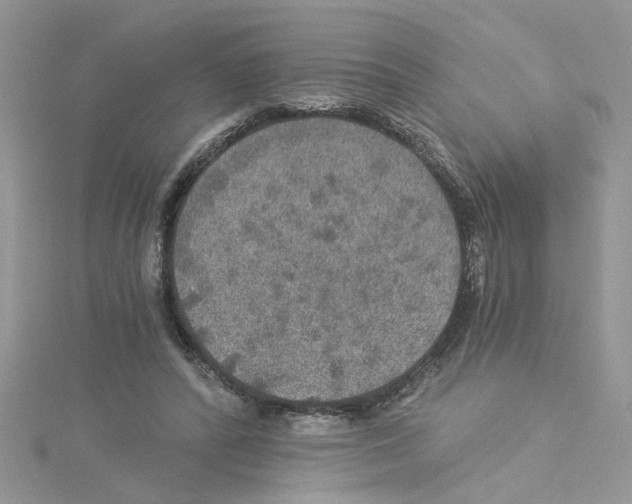 X0000114080400200911161020