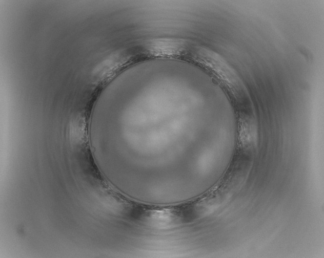 X0000114080411200911161020