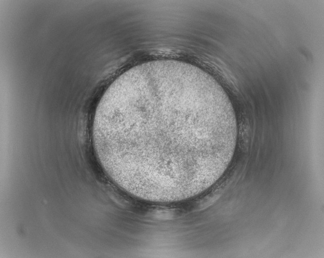 X0000114080416200911161020