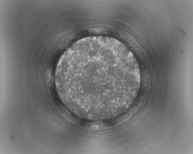 X0000114080420200911161020