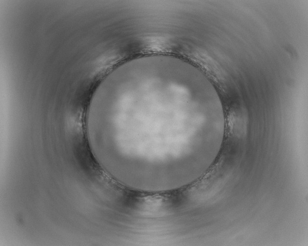 X0000114080423200911161020